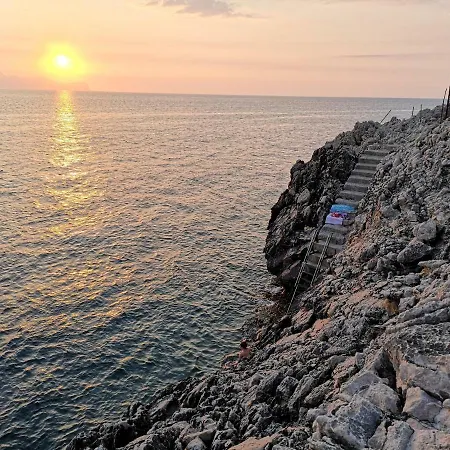 L'agapanto * Terrasini