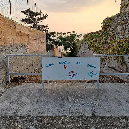 L'agapanto